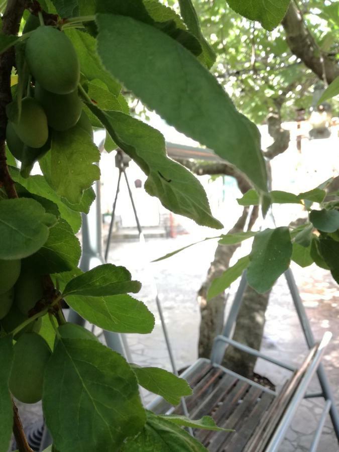 Kaštela Apartments Magli מראה חיצוני תמונה